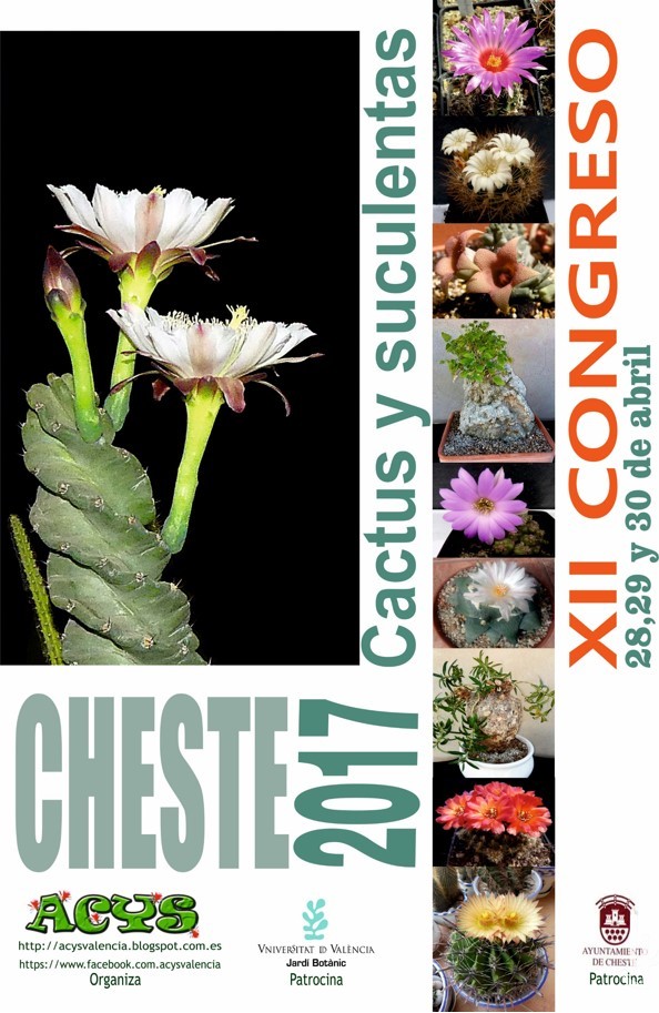 Cartel del Congreso de Cheste 2017, XII edición.
